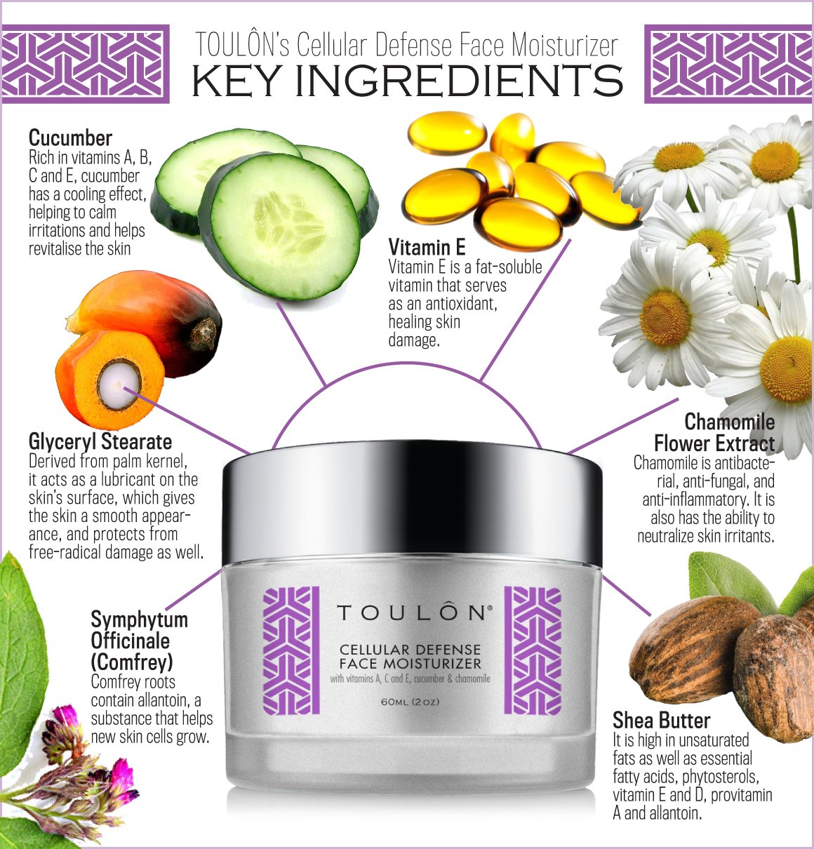 Antioxidant Moisturizer for Face with Vitamin A, C, E, Cucumber & Chamomile. Reduces Wrinkles and Fights Free Radical Damage.